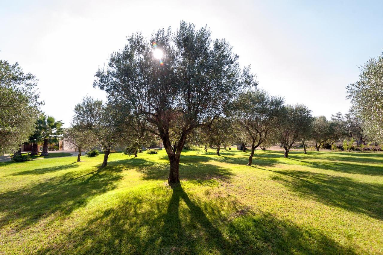 Olive Garden House Villa Borgagne Dış mekan fotoğraf