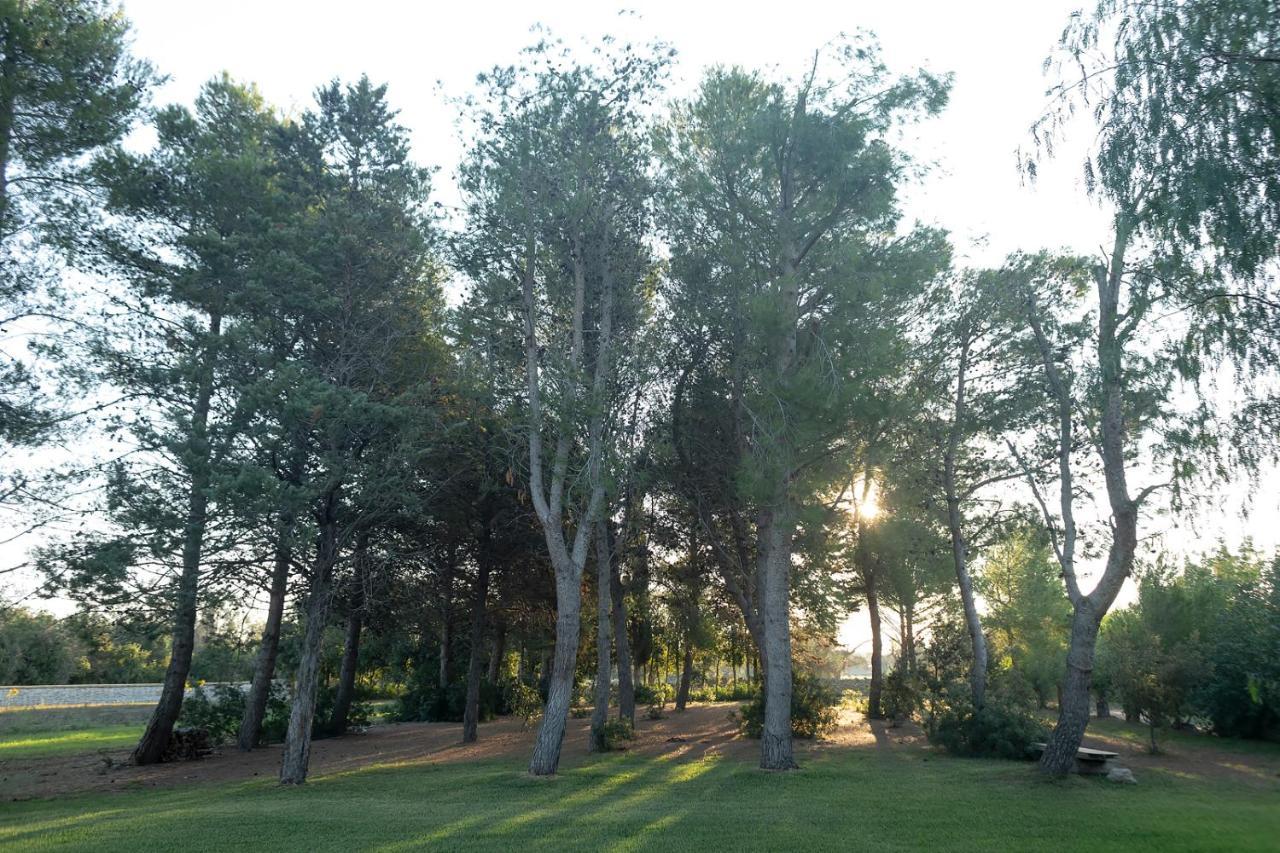 Olive Garden House Villa Borgagne Dış mekan fotoğraf